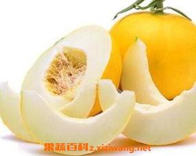 伊丽莎白瓜长毛可以吃吗,能否安全食用？