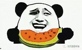 吃瓜群众岱,网络红人的崛起与影响力