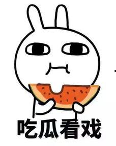 吃瓜群主tears雨,瓜田里的风云人物