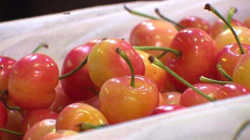 58吃瓜,揭秘网络热点背后的真相与笑料