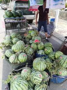 邛崃吃瓜事件真相,揭秘背后真相与反思