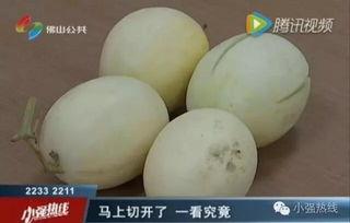 女孩吃蜜瓜,女孩畅享蜜瓜美味时光