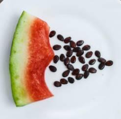 吃瓜要去籽吗,揭秘瓜果美味背后的细节