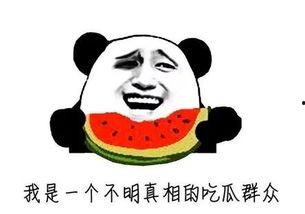 倒计时吃瓜,揭秘娱乐圈幕后风云