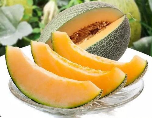 在瓜州吃瓜,一场舌尖上的瓜州美食之旅