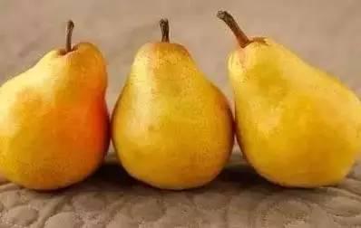 姜丙瓜怎么吃,美味与健康的完美融合