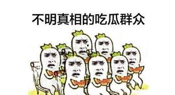 群众吃瓜的配语,揭秘娱乐圈最新热点事件