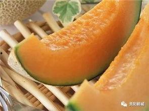吃瓜只吃哈密瓜,揭秘吃瓜新潮流