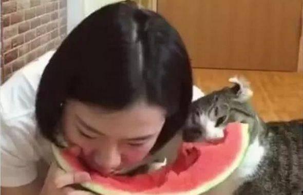 吃瓜凑人脸上,人脸成焦点