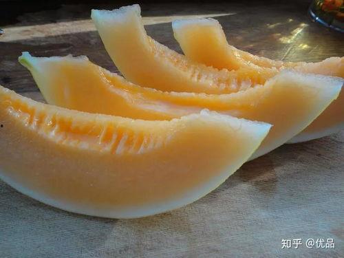 什么动物可以吃蜜瓜,揭秘哪些动物钟爱甜蜜诱惑