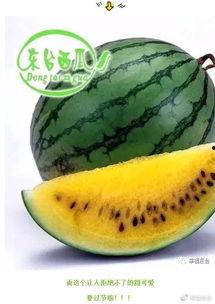 吃瓜唐十八63集,揭秘63集背后的精彩剧情与人物命运