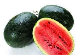 只吃瓤的瓜是什么瓜