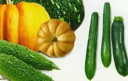 船员吃瓜,船员们的休闲时光