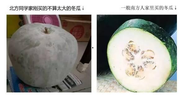 南北吃瓜的差异,吃瓜文化的地域差异大揭秘