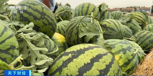 国公府吃瓜,宫廷吃瓜大揭秘