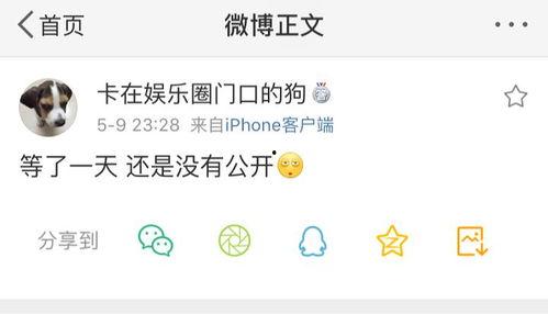 吃瓜爆料就看,吃瓜爆料背后的真相与内幕