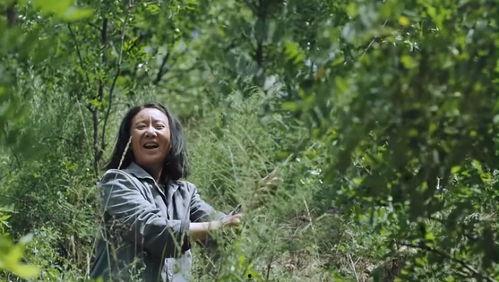 羽笙吃瓜,揭秘娱乐圈那些不为人知的幕后故事