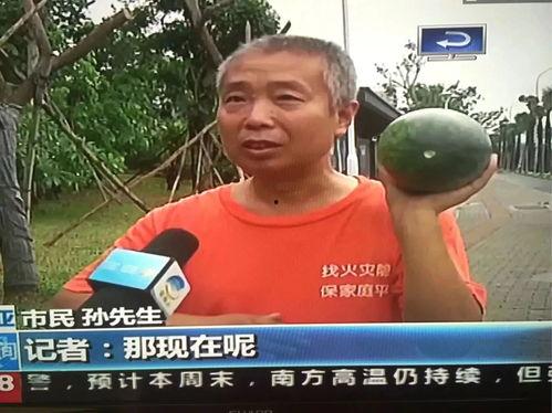 柳城吃瓜群众事件,一场网络舆论的风暴与反思