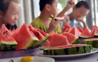 洋县吃瓜节,一场别开生面的吃瓜盛宴狂欢记”