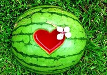 梦见死人吃小瓜,揭秘梦中死人吃小瓜的神秘寓意